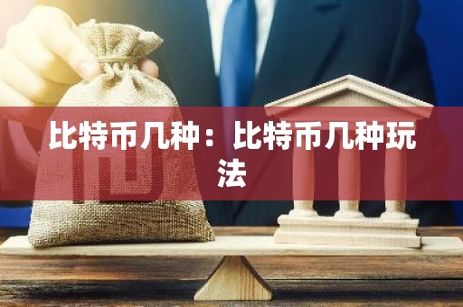 比特币几种：比特币几种玩法