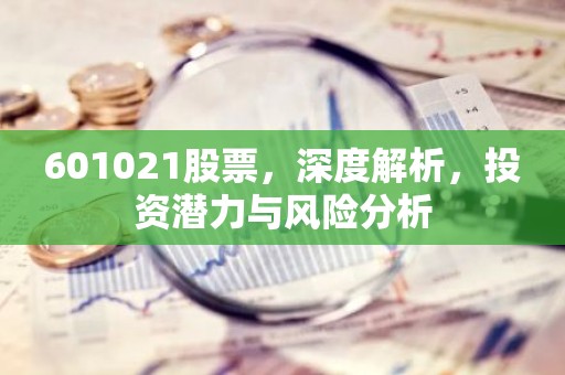 601021股票，深度解析，投资潜力与风险分析