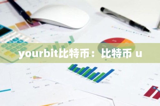 yourbit比特币：比特币 u