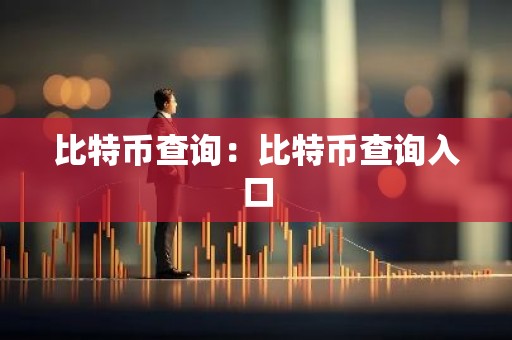 比特币查询：比特币查询入口