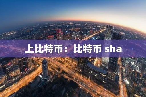 上比特币：比特币 sha
