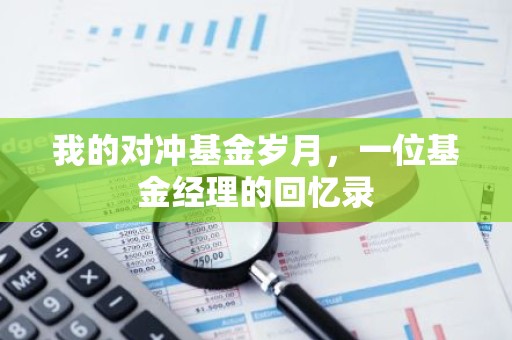 我的对冲基金岁月，一位基金经理的回忆录