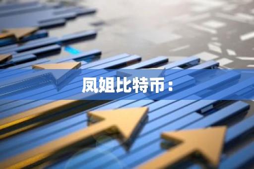 凤姐比特币：
