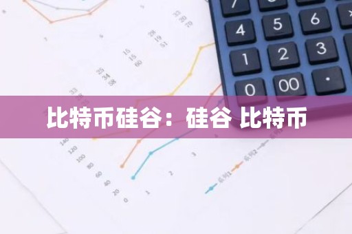 比特币硅谷：硅谷 比特币