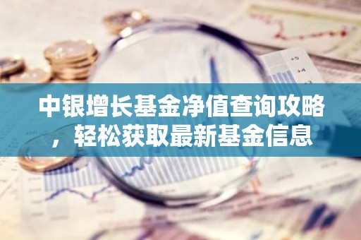中银增长基金净值查询攻略，轻松获取最新基金信息