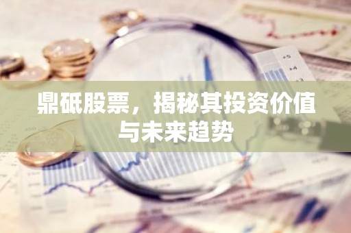 鼎砥股票，揭秘其投资价值与未来趋势