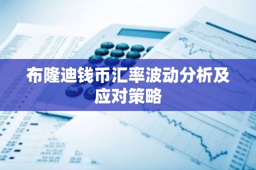 布隆迪钱币汇率波动分析及应对策略