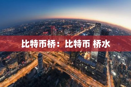 比特币桥：比特币 桥水