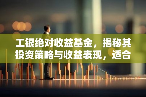 工银绝对收益基金，揭秘其投资策略与收益表现，适合哪类投资者？