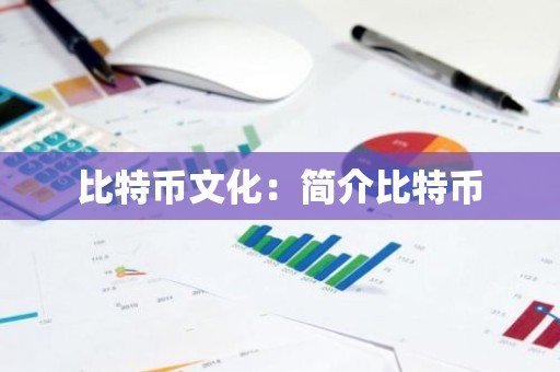 比特币文化：简介比特币