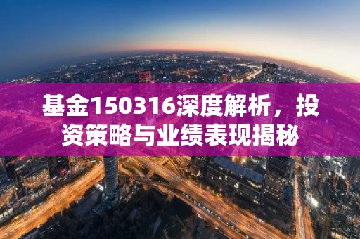 基金150316深度解析，投资策略与业绩表现揭秘