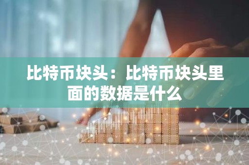 比特币块头：比特币块头里面的数据是什么