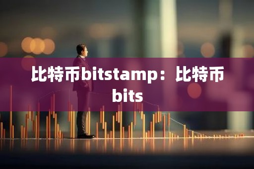 比特币bitstamp：比特币bits