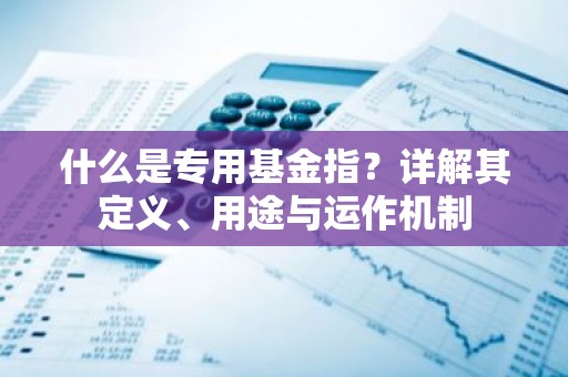 什么是专用基金指？详解其定义、用途与运作机制
