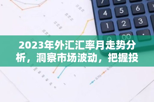 2023年外汇汇率月走势分析，洞察市场波动，把握投资时机