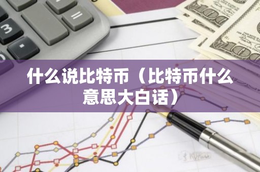 什么说比特币（比特币什么意思大白话）