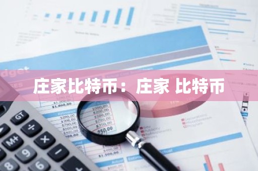 庄家比特币：庄家 比特币