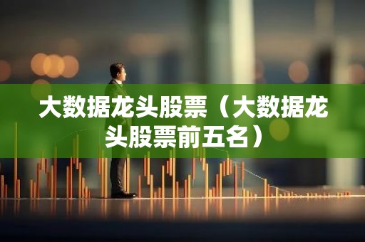 大数据龙头股票（大数据龙头股票前五名）