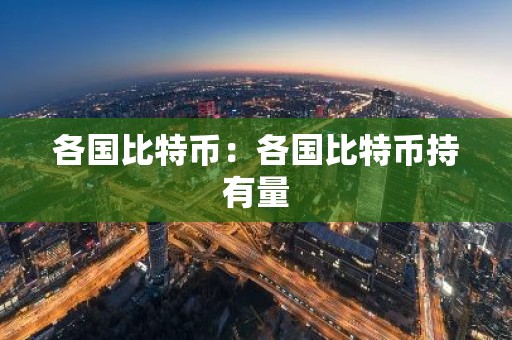 各国比特币：各国比特币持有量