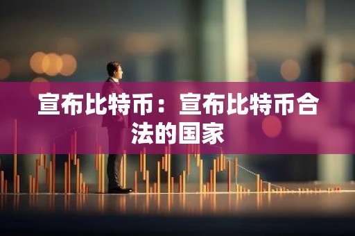 宣布比特币：宣布比特币合法的国家