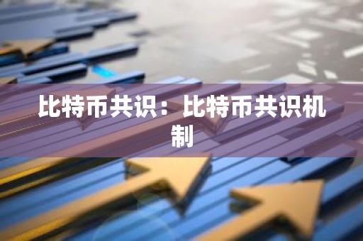 比特币共识：比特币共识机制