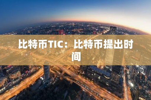 比特币TIC：比特币提出时间