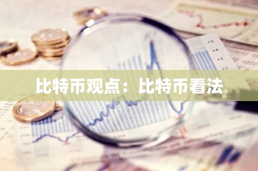 比特币观点：比特币看法