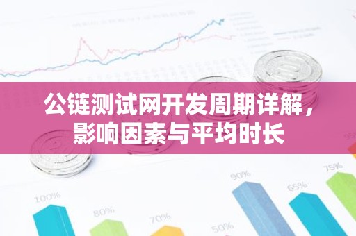 公链测试网开发周期详解，影响因素与平均时长