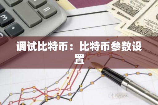 调试比特币：比特币参数设置
