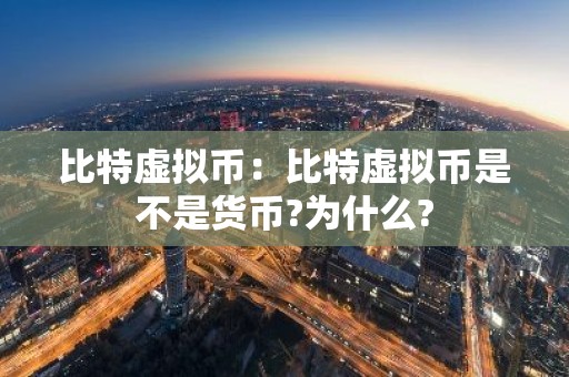 比特虚拟币：比特虚拟币是不是货币?为什么?