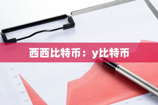 西西比特币：y比特币