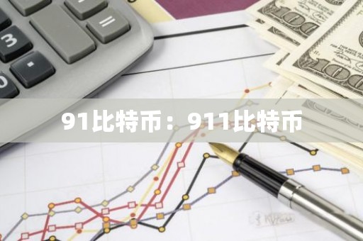 91比特币：911比特币