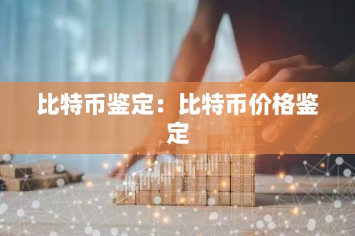 比特币鉴定：比特币价格鉴定