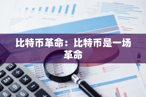 比特币革命：比特币是一场革命