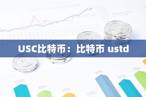 USC比特币：比特币 ustd