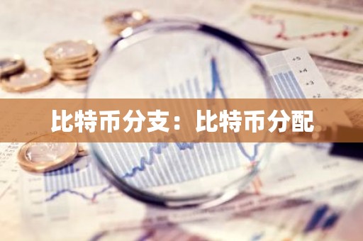 比特币分支：比特币分配