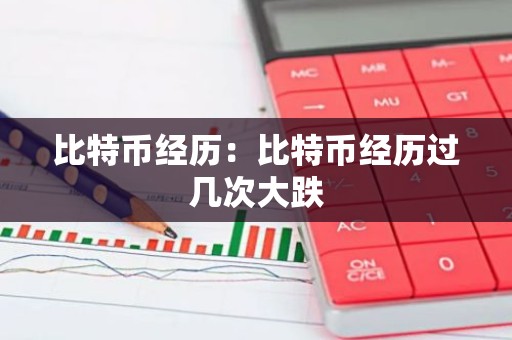 比特币经历：比特币经历过几次大跌