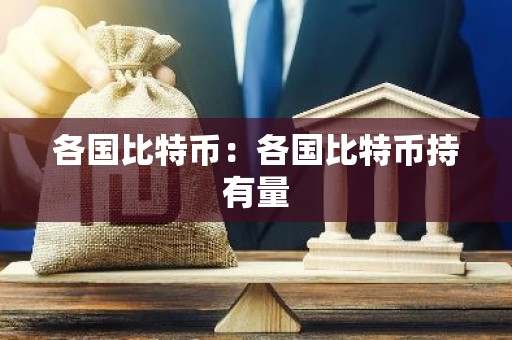 各国比特币：各国比特币持有量
