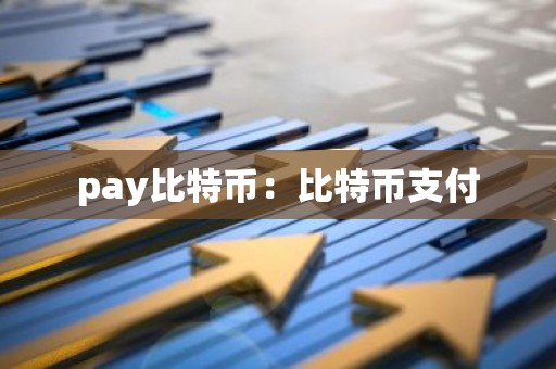 pay比特币：比特币支付