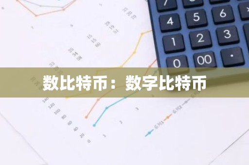 数比特币：数字比特币