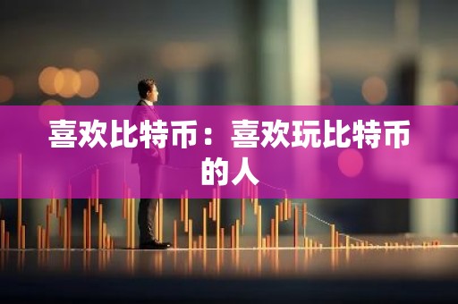 喜欢比特币：喜欢玩比特币的人