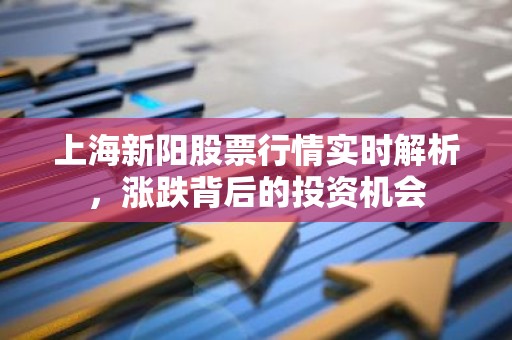 上海新阳股票行情实时解析，涨跌背后的投资机会