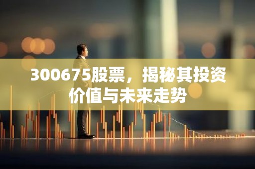 300675股票，揭秘其投资价值与未来走势