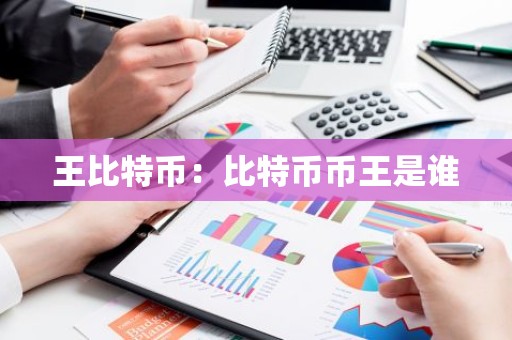 王比特币：比特币币王是谁
