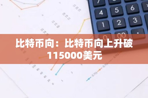比特币向：比特币向上升破115000美元