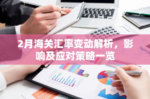 2月海关汇率变动解析，影响及应对策略一览