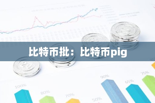 比特币批：比特币pig