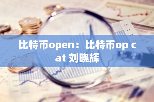 比特币open：比特币op cat 刘晓辉
