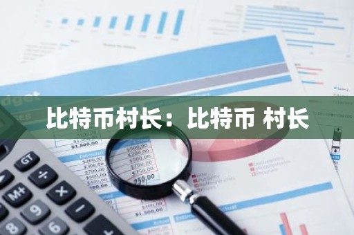 比特币村长：比特币 村长