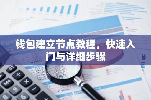 钱包建立节点教程，快速入门与详细步骤